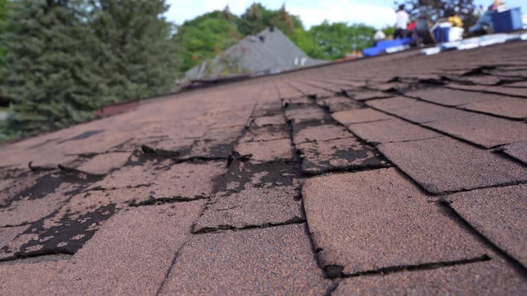 Best Roof Leak Repair  in St Helen, MI