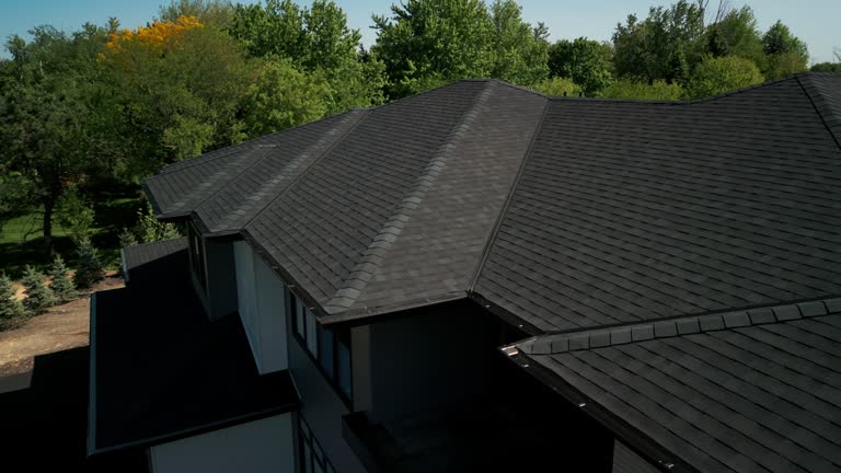 Best Roof Coating and Sealing  in St Helen, MI