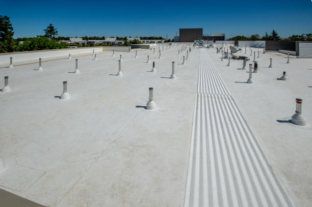 Best Roof Moss and Algae Removal  in St Helen, MI
